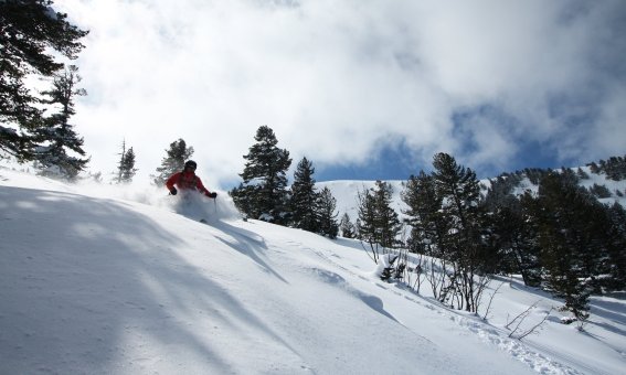 Freeride Bulgarien, Abfahrt neben die Skipisten
