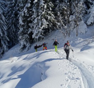 Valle Stura, Skitourengruppe im Aufstieg