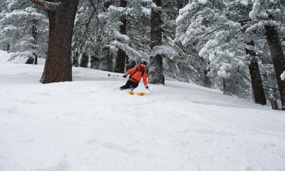 Magic Forrest, Freeriden in Bansko, best of Balkan