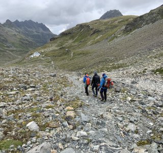 Bergführer mit Gruppe, Hochtour, Silvretta
