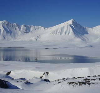 Skitouren in Spitzbergen, Bjørnfjorden