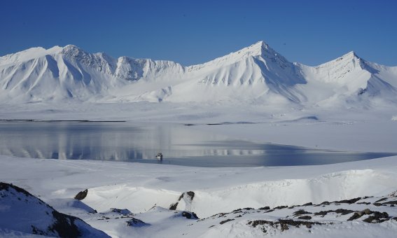 Skitouren in Spitzbergen, Bjørnfjorden, Eis und Berge