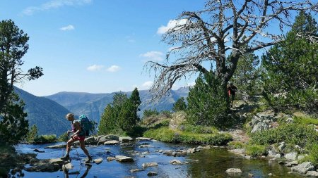 Csm Pyrenaeen-wanderung-bach-mit-baeumen-und-wanderin 48d0795366