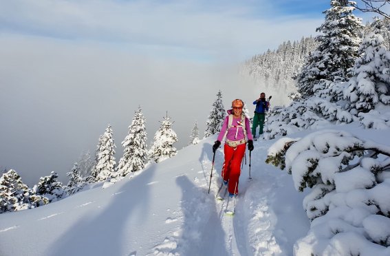 Skitouren für Einsteiger, Skitour nach Neuschnee