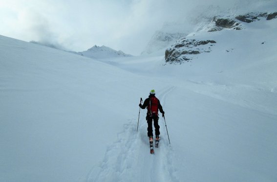Skitourengänger im Aufstieg, Pulverschnee