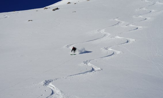 Powderskiing in Livigno