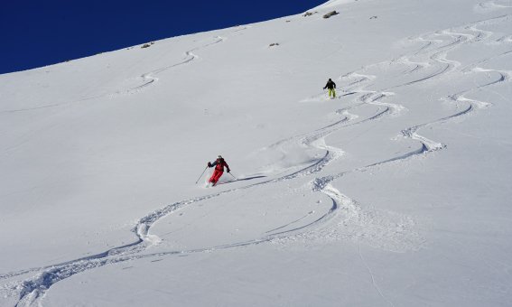 Tiefschneefahren in Livigno