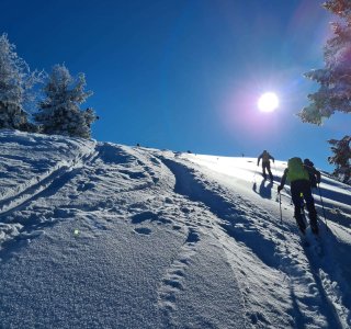 Sonne, Schnee, Skispur, Bäume, 3 Personen