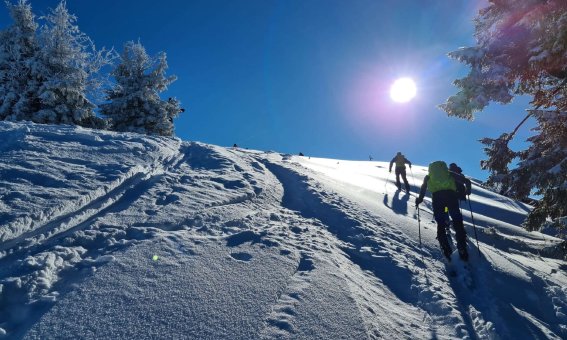 Skitourenkurs im Allgaeu - Pulver und Sonne