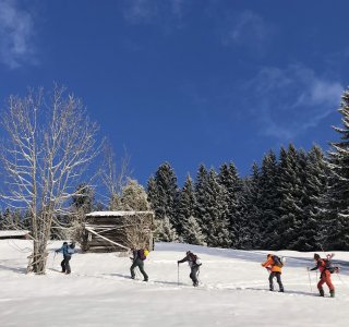 Skitourengruppe, aufstieg, bäume, holzstadel
