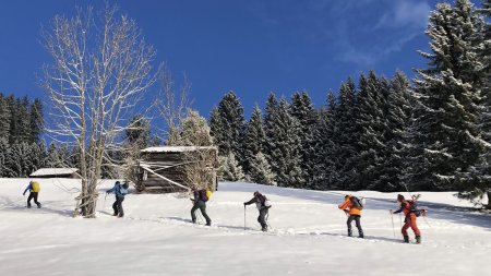 Skitourengruppe, aufstieg, bäume, holzstadel Skitourengruppe, aufstieg, bäume, holzstadel