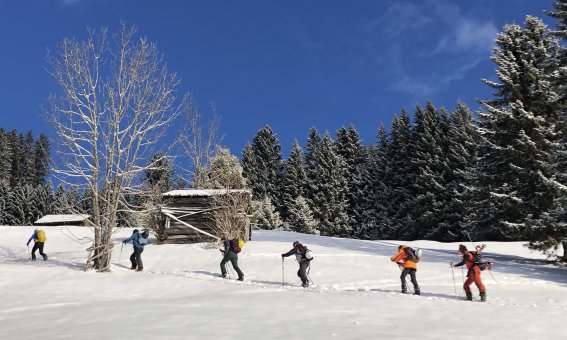 Skitourengruppe, aufstieg, bäume, holzstadel