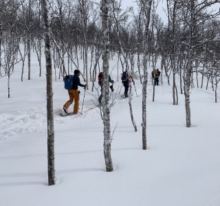 Rodsunddalen Steinfjellet, Skifahrer im Wald