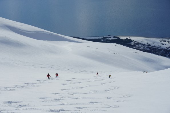 Mehrere Skifahrer ziehen frische Tiefschneespuren in weiten Hängen mit Blick auf Meer und schneebedeckte Küste.