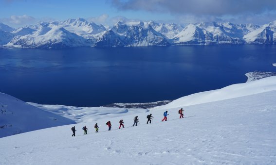 Gruppe im Aufstieg zum Sorbmegaisa, lyngen alps
