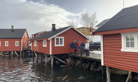 Rrobuer im Hafen von Svolvær