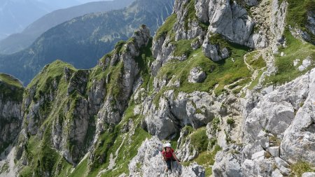 Kletterkurs Alpin Basic, Tannheimer, Gimpel W-Grat
