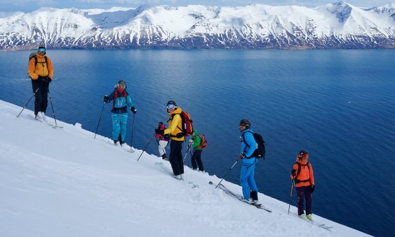 Skitouren Island, Dlavik