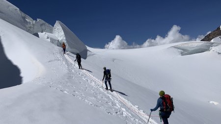 Gletscherlandschaft, Seilschaft, Lysjoch