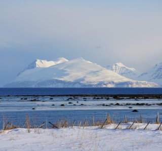 Insel Arnøya und Trolltinden