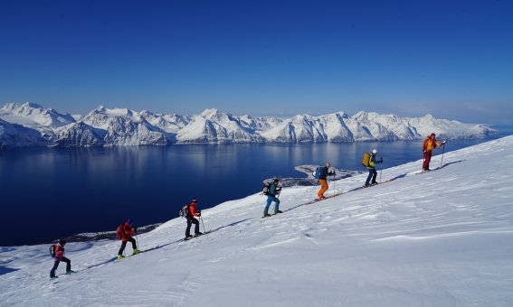 Skitourengruppe, fjord, berge, schnee, himmel