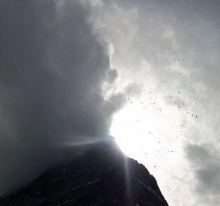 Matterhorn, sonne, wolken, vogelschwarm, hörnligrat