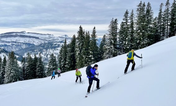 spitzkehren uebung, skitourengruppe im aufstieg