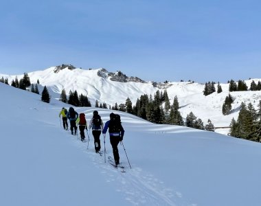 Skitourengruppe im aufstieg, blauer himmel, viel schnee, bäume