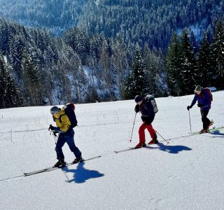 mehrere skitourengeher im aufstieg, wald, freie schneefläche