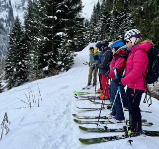 gruppe skifahrer in einer reihe, violette jacke, schnee, bäume
