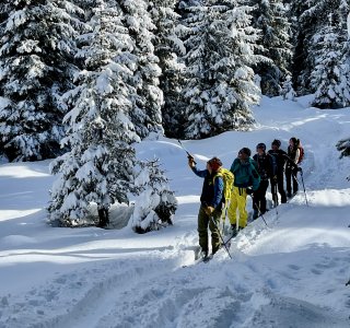 verschneite Bäume, skitourengruppe, gelbe hose