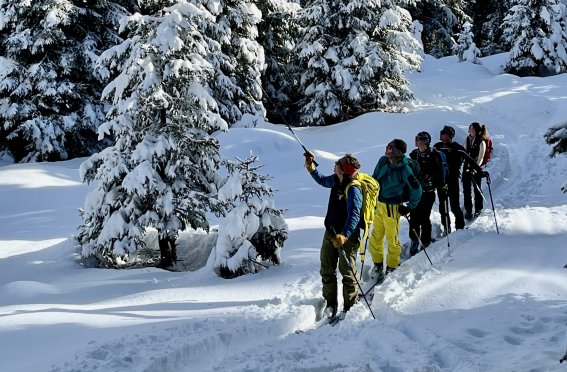 verschneite Bäume, skitourengruppe, gelbe hose