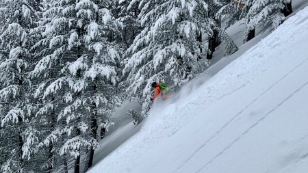 tiefschnee, skifahrer, nadelbäume, orange jacke