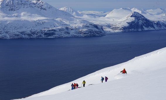 fjord, skifahrergruppe, berge, schnee, felsen