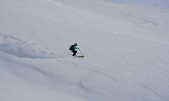 DSC07822