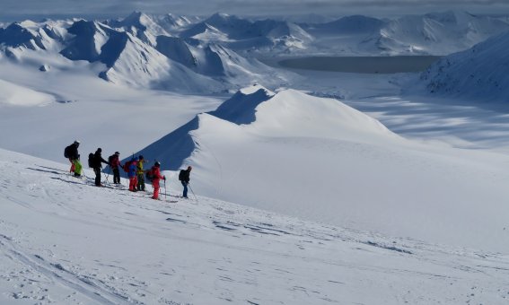 skitourengruppe, berge, schneegrat im hintergrund, fjord