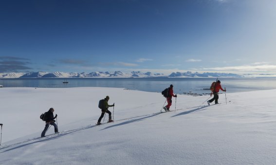 skitourengruppe meer, schnee, insel