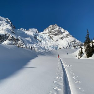 Skispur, berge. blauer himmel, tannen