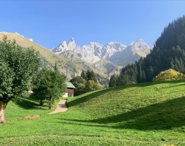 Panorama, berge, grüne wiese, bäume