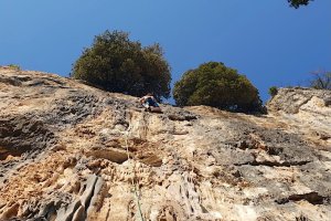 kletterer, gelber fels, 2 bäume, blauer himmel