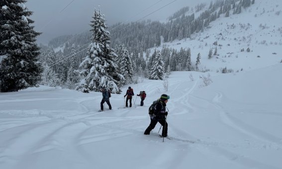 skitourengruppe im huettenzustieg