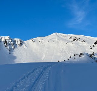 verschneite bergflanke mit skispuren, schwarzwassertal