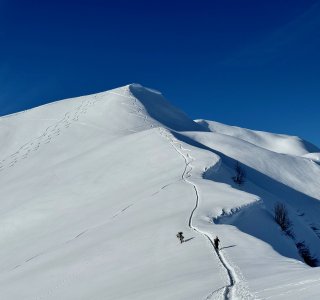 skispur, schneeberg, kleinwalsertal, 1 person