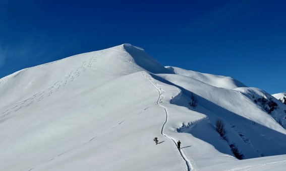 skitourenkurs Kleinwalsertal, schwarzwasserhuette