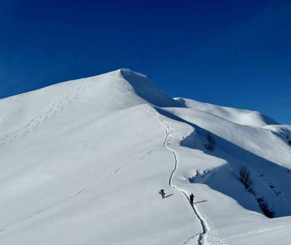 skispur, schneeberg, kleinwalsertal, 1 person