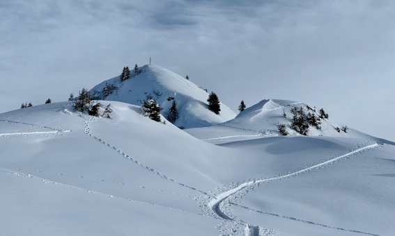aufstiegsspur, skispur, steinmandl, schwarzwassertal
