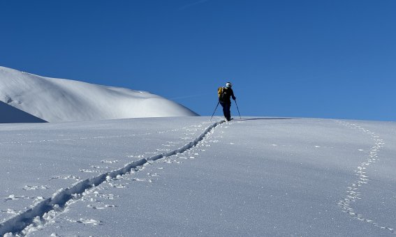 skispur, 1 person, allgäuer alpen, blauer himmel