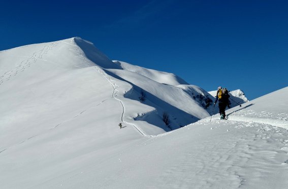 schneegrat, blauerhimmel,skitour, 1 person
