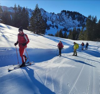 skitourengruppe beim vs-check, piste, baume, schnee