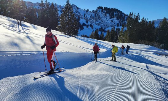 skitourengruppe beim vs-check, piste, baume, schnee